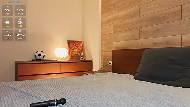 Mirikiteki webcam