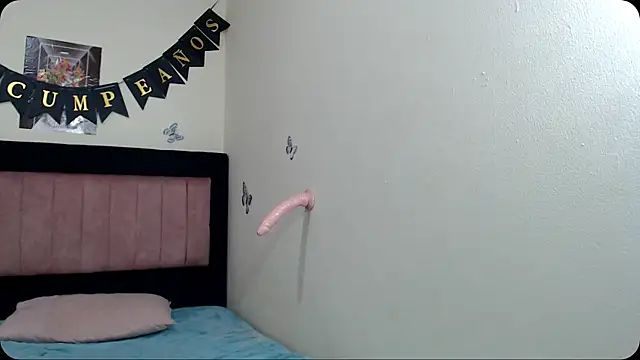 VICTORYXS1 webcam