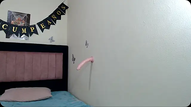 VICTORYXS1 webcam