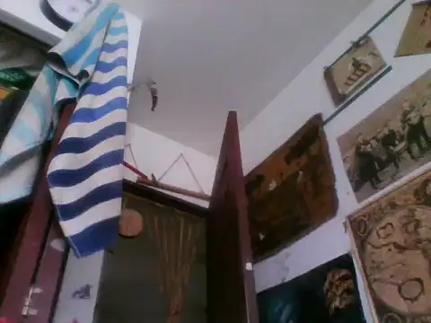 LECHEBALLS webcam