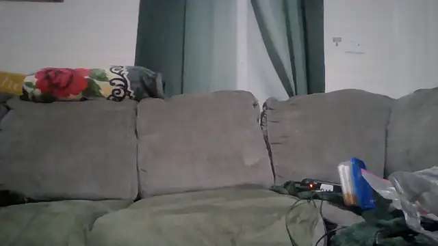TWiSTYTheTwizted webcam
