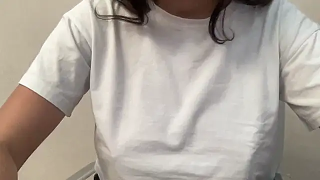 Saylenn webcam