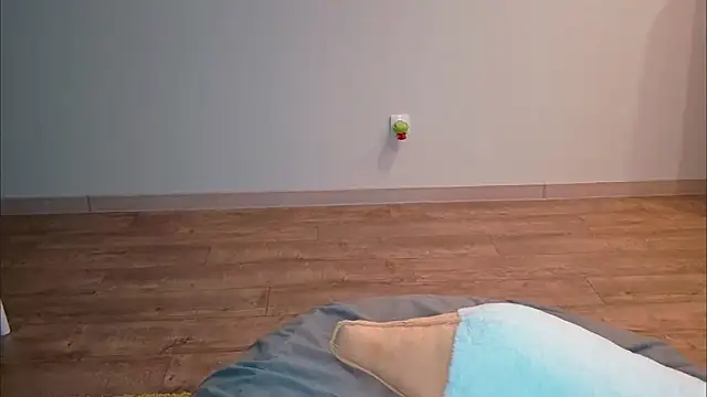 ExitedTroth webcam