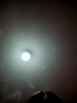VANESSABraga webcam