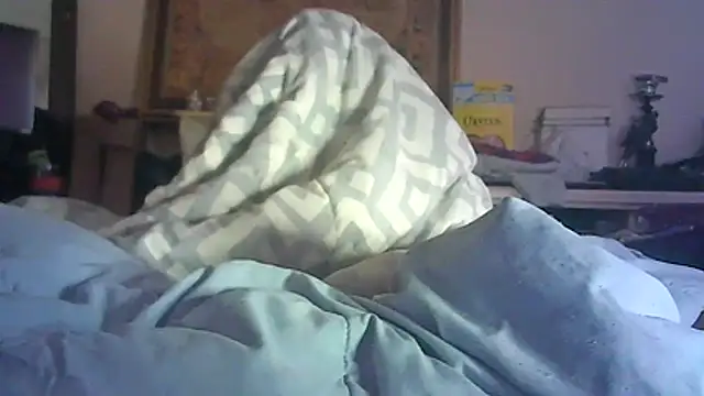 CR3M3_FIR3 webcam