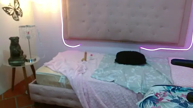 sila_bolum webcam