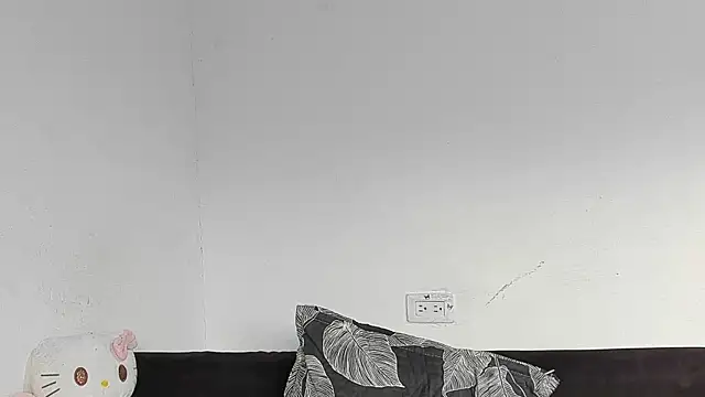 Eirlysx webcam