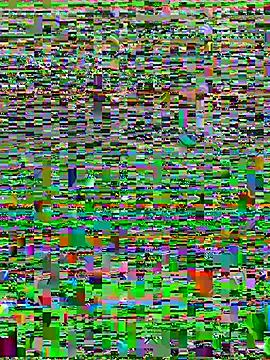 karlatiburcio webcam