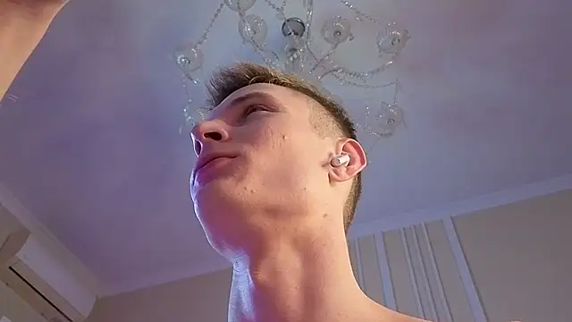 viksons webcam