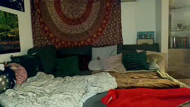 Cariniii webcam