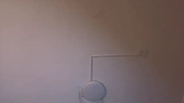Shanelle__ webcam
