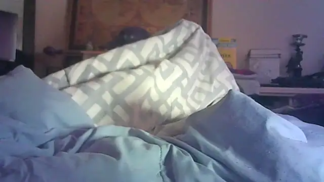 CR3M3_FIR3 webcam
