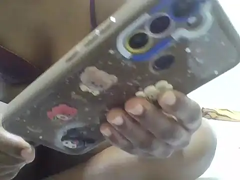 Swt_pie webcam