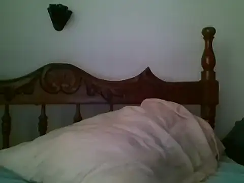 bbccol1 webcam