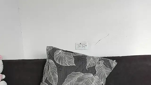 Eirlysx webcam