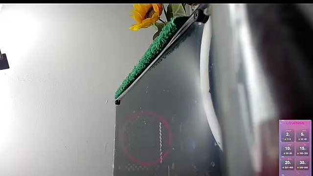 Niky_777 webcam