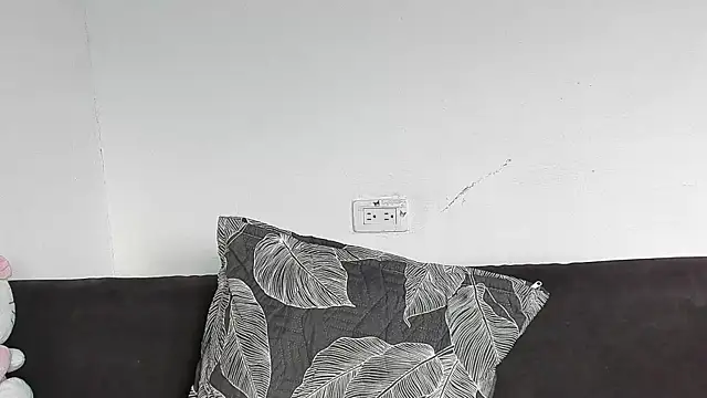 Eirlysx webcam