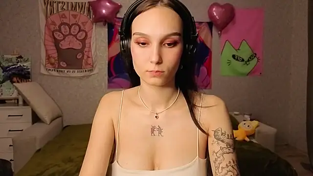 Aurisinst webcam