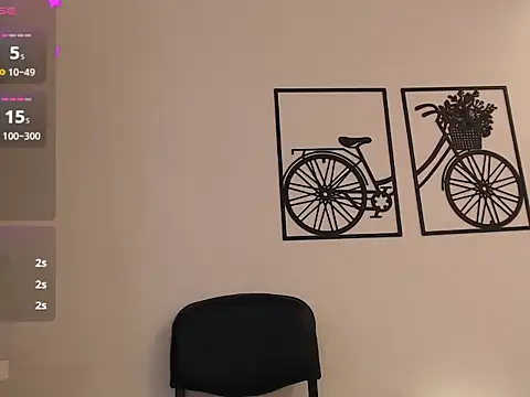 Amaara_fontainne webcam