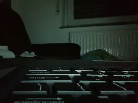 FROL83 webcam