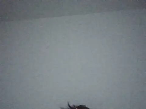 FallenDevil live cam on StripChat