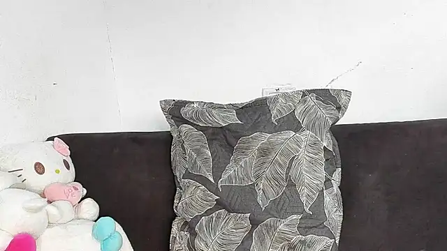 Eirlysx webcam