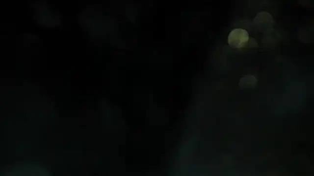 erika_lyrics webcam