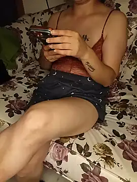 Nilpera webcam