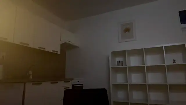 runawyin webcam