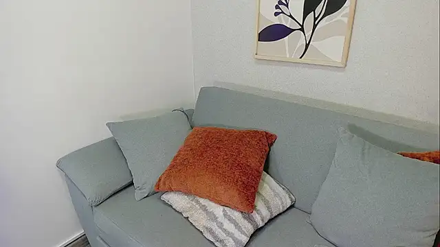 KassMonroe webcam