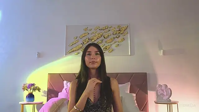 Vi_fi webcam