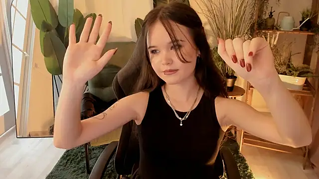Elainebeness webcam