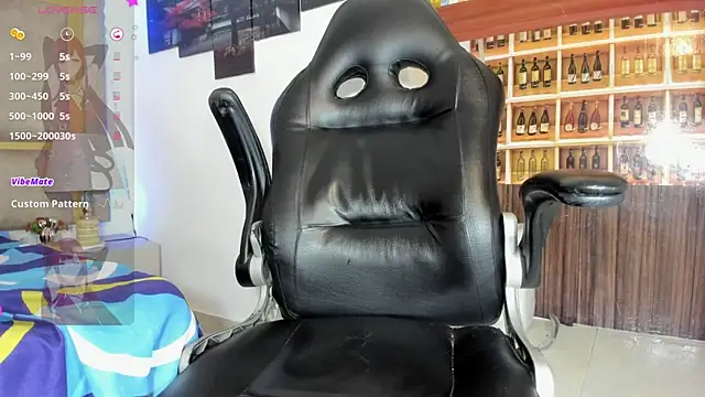 _Shirley_ webcam