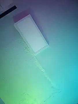 hpcouplee420 webcam