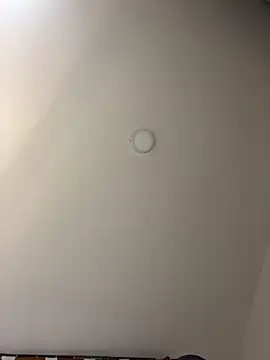 Emmily_19