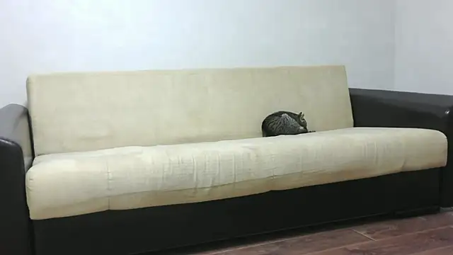 aylinblushing webcam