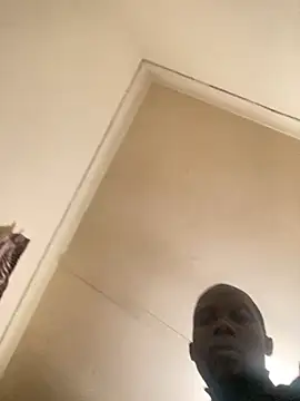 travelstick webcam