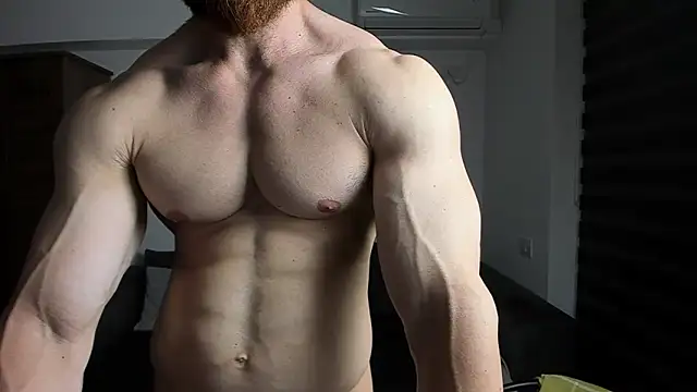 ZkkBlitz webcam