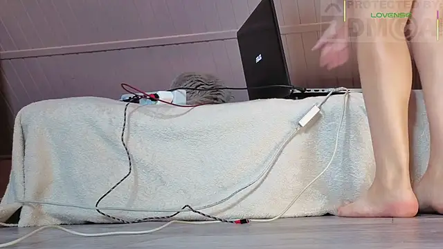 sexyshowow Live Web Cam Show