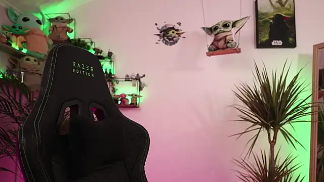-BabyYoda webcam