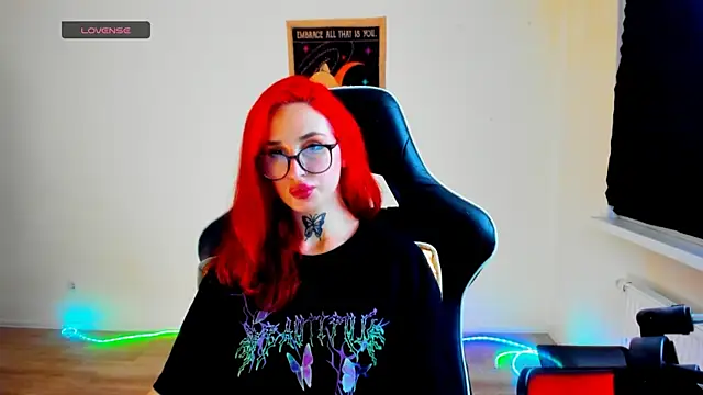 your_tora webcam