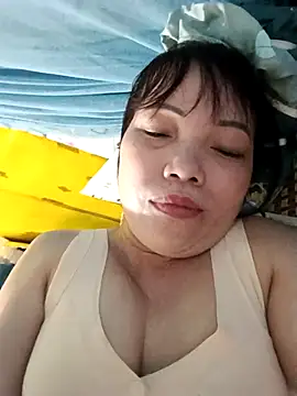 Sana-vn webcam