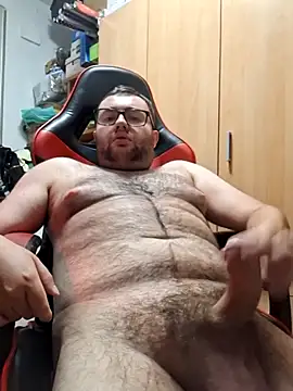 Javier_bear webcam