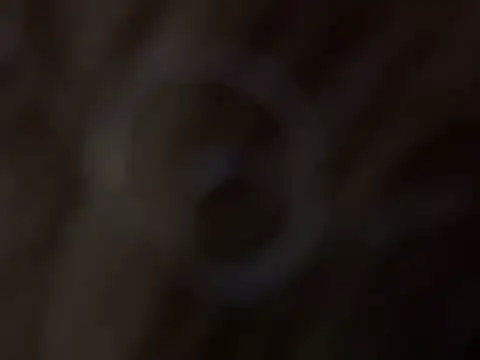 Dotson_Cum69 webcam