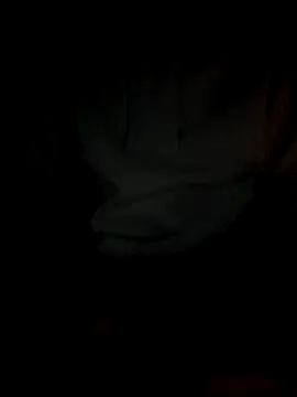 SaPappie webcam