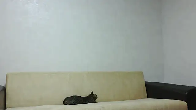 aylinblushing live cam on StripChat