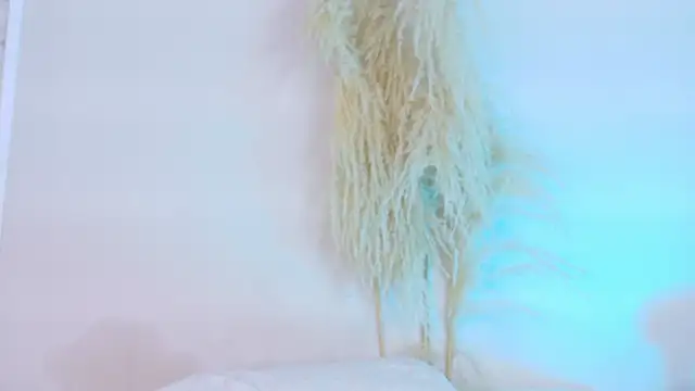 Onawa_ webcam