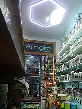 LunaZambrano webcam
