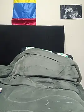 corepio webcam