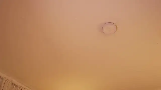soidai_miiu webcam